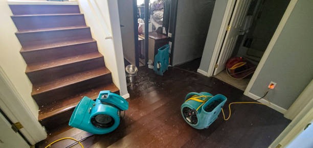 Best Water damage contractors near me  in Colbert, OK