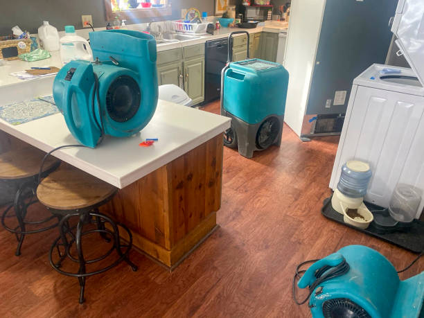 Best Mold removal after water damage  in Colbert, OK