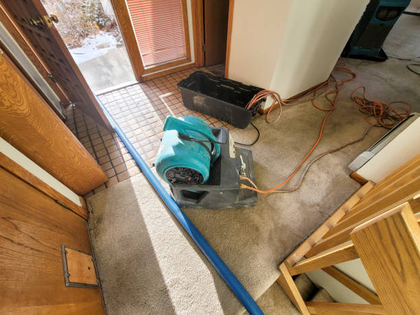 Best Water damage restoration process  in Colbert, OK