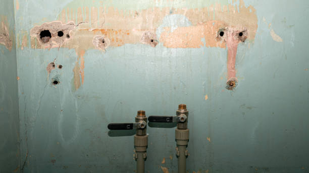 Best Ceiling water damage repair  in Colbert, OK