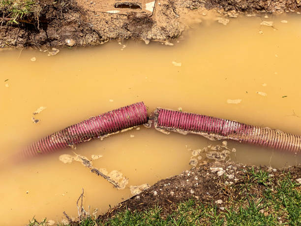 Best Local water damage restoration  in Colbert, OK