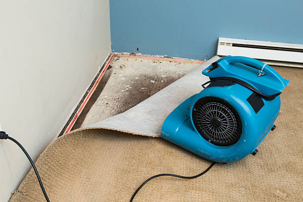 Best Flooded house restoration  in Colbert, OK